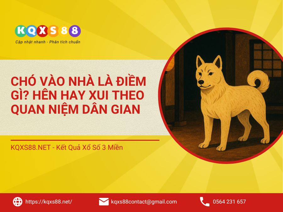 Chó Vào Nhà Là Điềm Gì? Hên Hay Xui Theo Quan Niệm Dân Gian