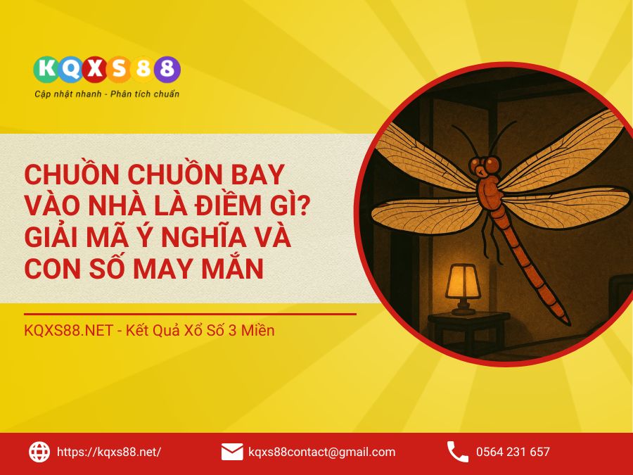 Chuồn Chuồn Bay Vào Nhà Là Điềm Gì? Giải Mã Ý Nghĩa Và Con Số May Mắn