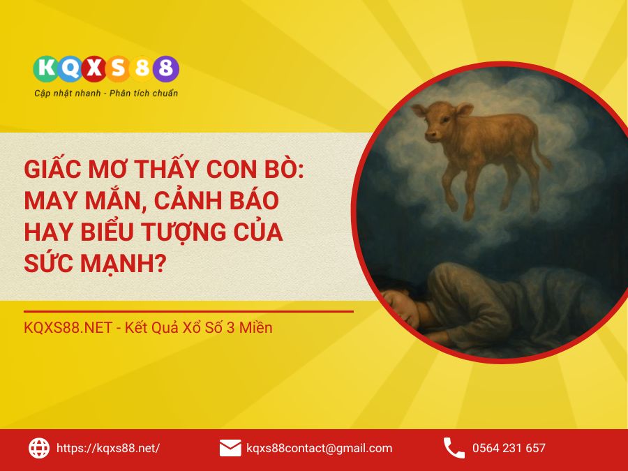 Giấc Mơ Thấy Con Bò: May Mắn, Cảnh Báo Hay Biểu Tượng Của Sức Mạnh?