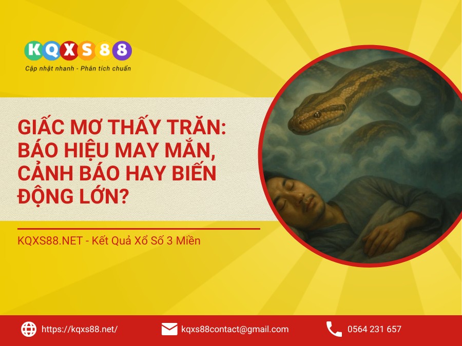 Giấc Mơ Thấy Trăn: Báo Hiệu May Mắn, Cảnh Báo Hay Biến Động Lớn?