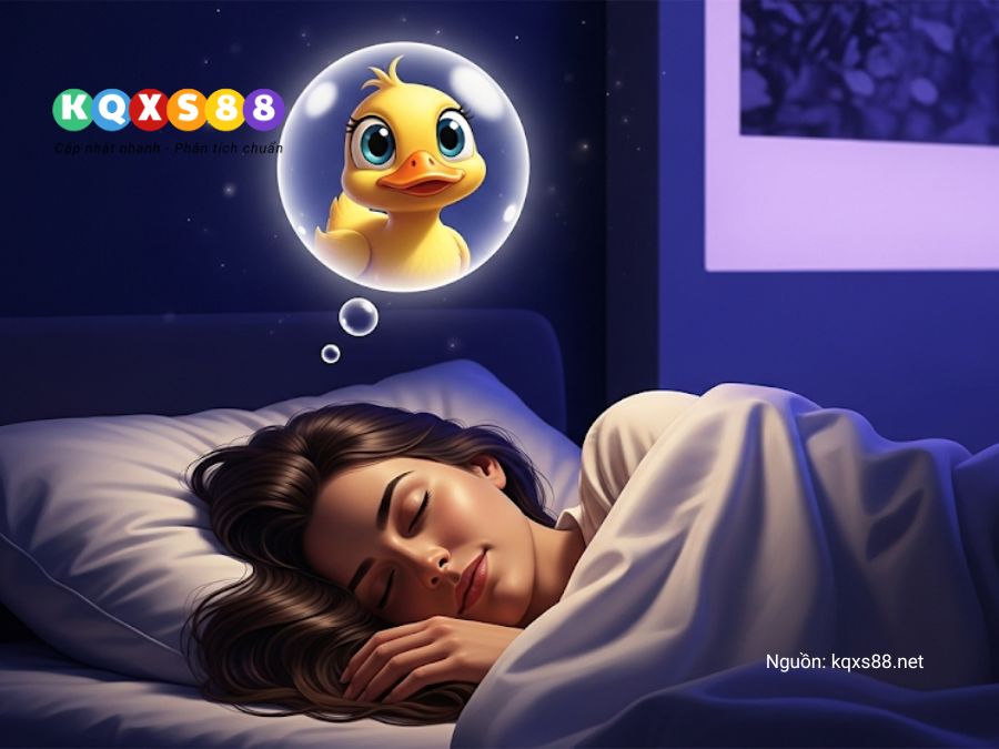 Mơ thấy vịt báo hiệu may mắn, sung túc hoặc cảnh báo cần cẩn trọng