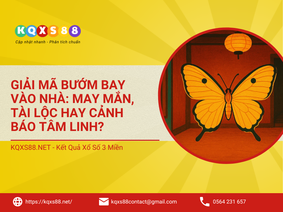 Giải Mã Bướm Bay Vào Nhà: May Mắn, Tài Lộc Hay Cảnh Báo Tâm Linh?