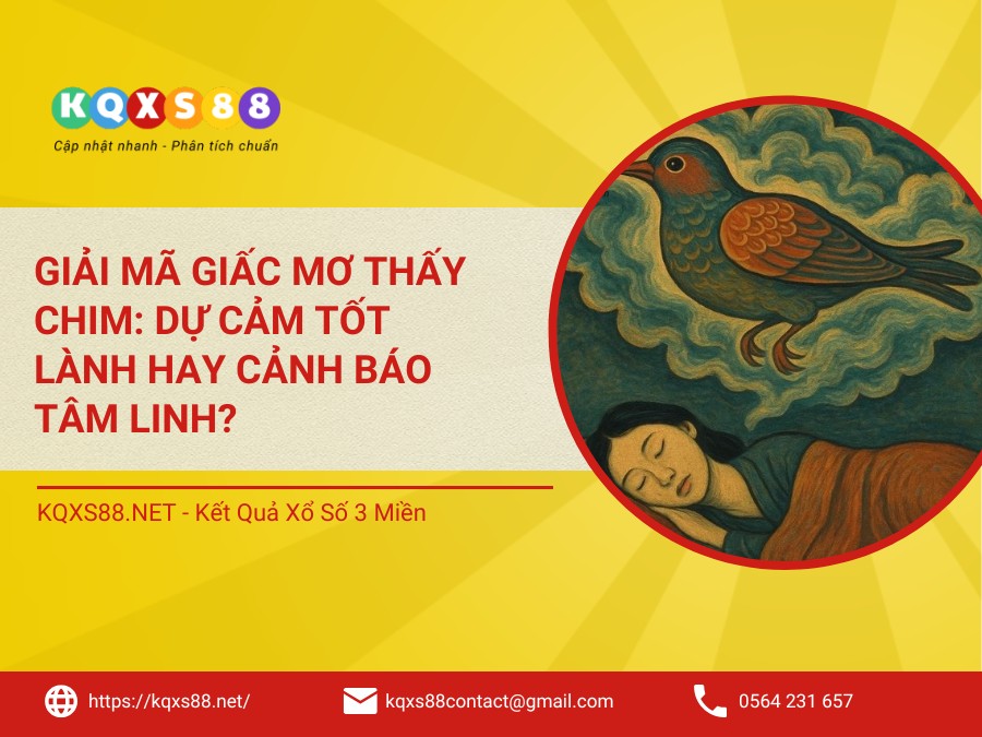 Giải Mã Giấc Mơ Thấy Chim: Dự Cảm Tốt Lành Hay Cảnh Báo Tâm Linh?