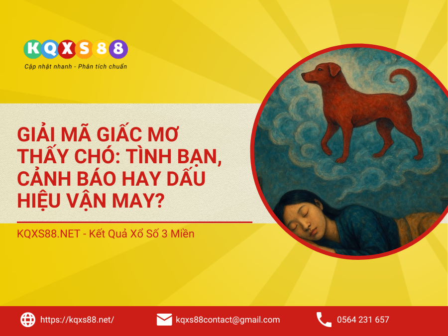 Giải Mã Giấc Mơ Thấy Chó: Tình Bạn, Cảnh Báo Hay Dấu Hiệu Vận May?