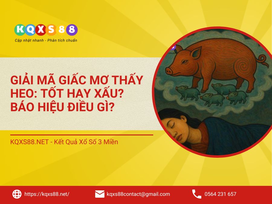 Giải Mã Giấc Mơ Thấy Heo: Tốt Hay Xấu? Báo Hiệu Điều Gì?