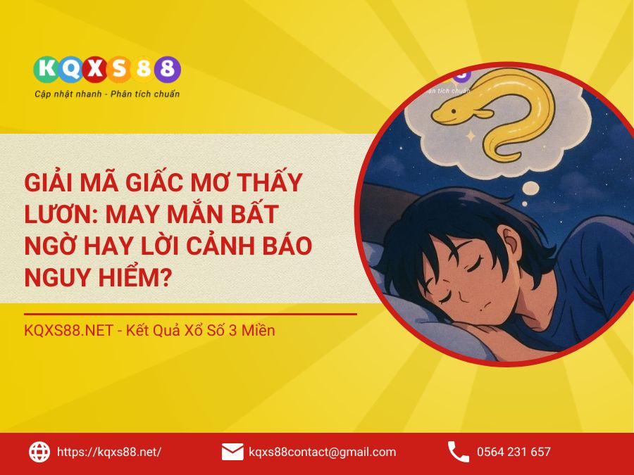 Giải Mã Giấc Mơ Thấy Lươn: May Mắn Bất Ngờ Hay Lời Cảnh Báo Nguy Hiểm?