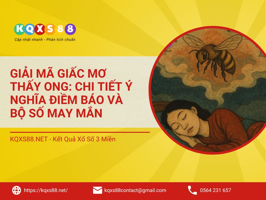 Giải mã giấc mơ thấy ong: Chi tiết ý nghĩa điềm báo và bộ số may mắn