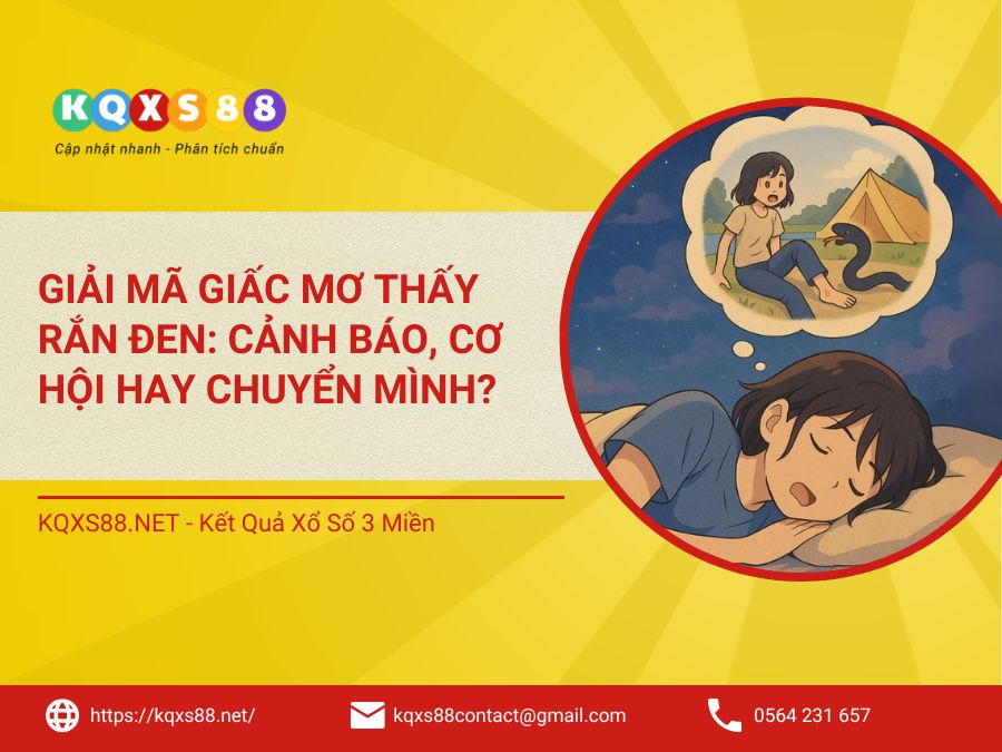 Nằm Mơ Thấy Rắn Đen: Cảnh Báo, Cơ Hội Hay Chuyển Mình?
