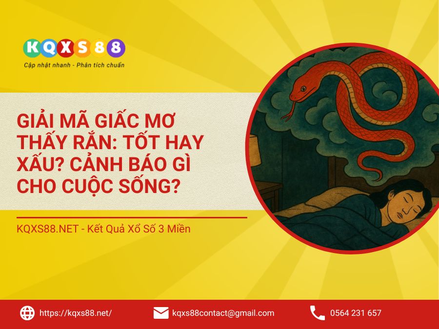 Giải Mã Giấc Mơ Thấy Rắn: Tốt Hay Xấu? Cảnh Báo Gì Cho Cuộc Sống?