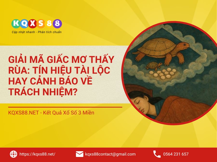 Giải Mã Giấc Mơ Thấy Rùa: Tín Hiệu Tài Lộc Hay Cảnh Báo Về Trách Nhiệm