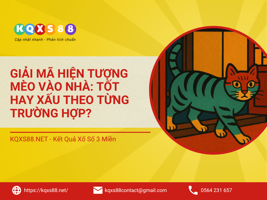 Mèo Vào Nhà