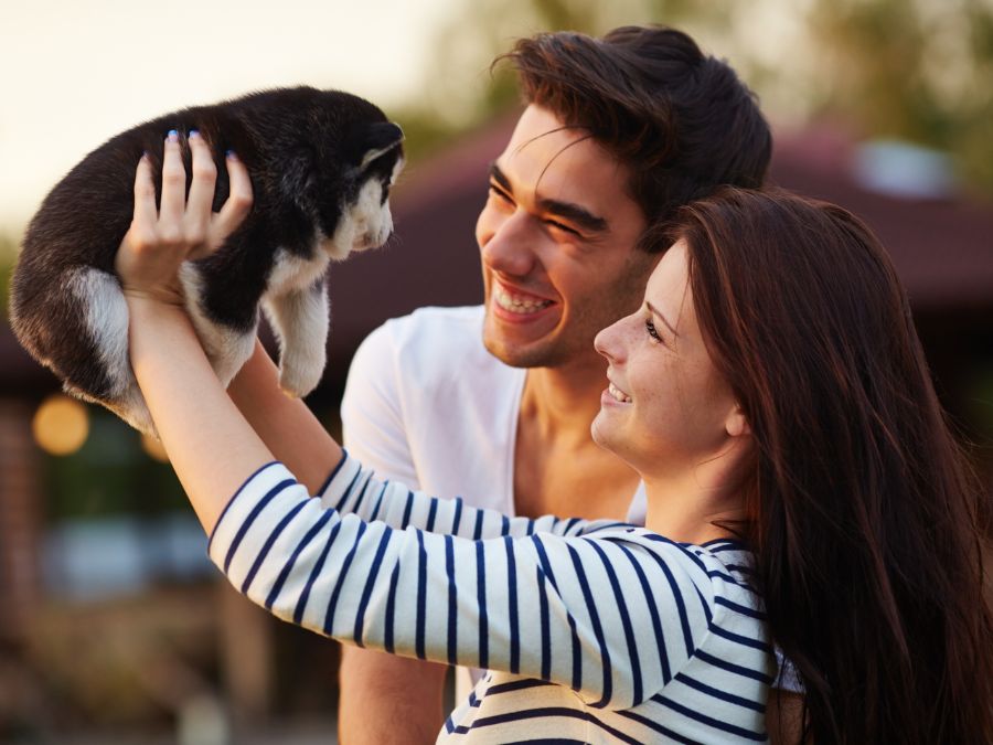 mơ thấy người yêu cũ tìm mình là biểu hiện của cảm xúc chưa buông bỏ