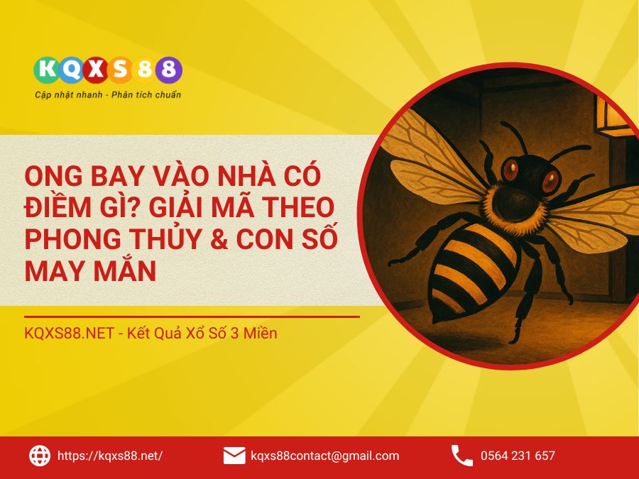 Ong Bay Vào Nhà Có Điềm Gì? Giải Mã Theo Phong Thủy & Con Số May Mắn