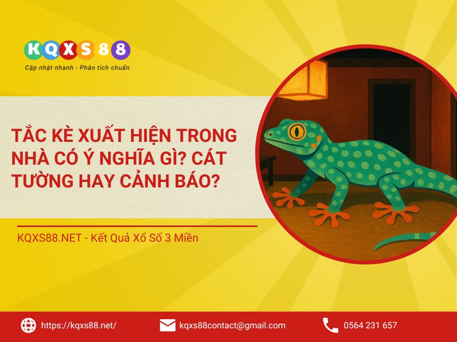 Tắc Kè Xuất Hiện Trong Nhà Có Ý Nghĩa Gì? Cát Tường Hay Cảnh Báo?