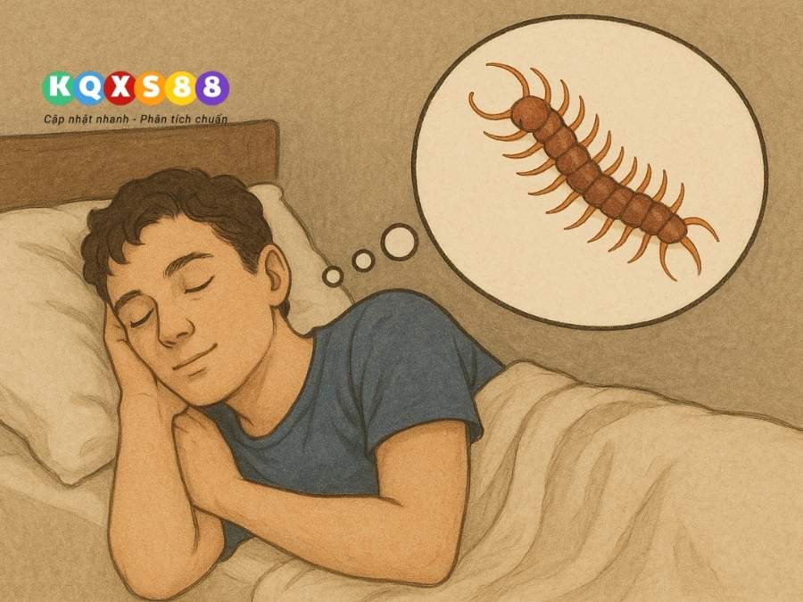 Hình ảnh con rết trong mơ