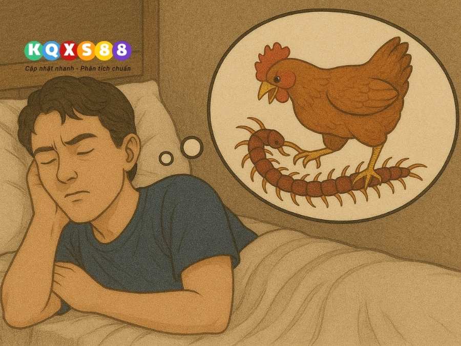 Hình ảnh gà mổ rết cho thấy vận may đang đến