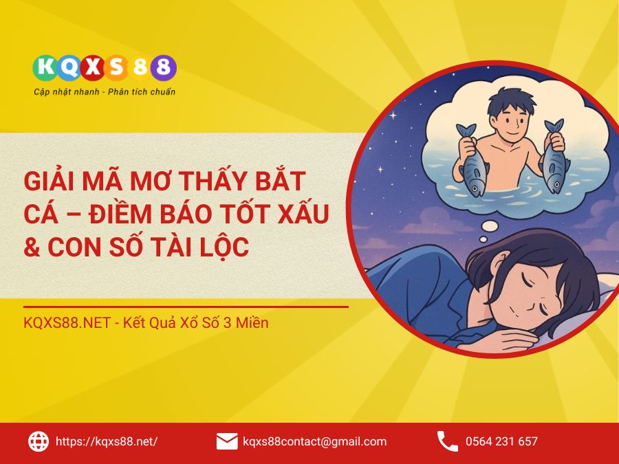 Giải Mã Mơ Thấy Bắt Cá – Điềm Báo Tốt Xấu & Con Số Tài Lộc