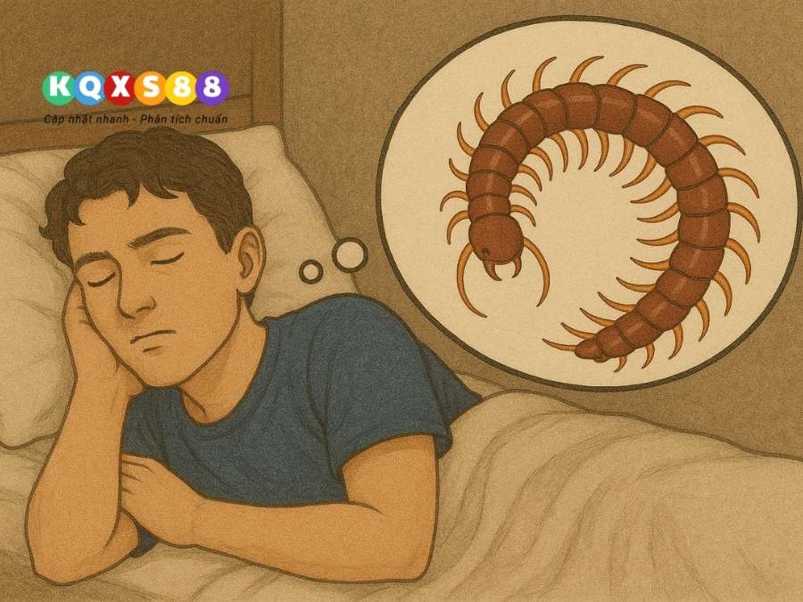 Hình ảnh rết lớn đại diện cho lựa chọn mang tính bước ngoặt